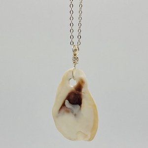 Shell Pendant on 18" Silver Chain Necklace; S18-40